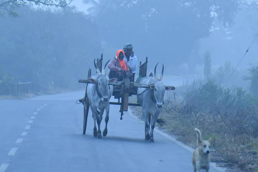 <div class="paragraphs"><p>ಹಾವೇರಿಯ ಗುತ್ತಲ ರಸ್ತೆಯಲ್ಲಿ ಮಂಜು ಕವಿದ ವಾತಾವರಣದಲ್ಲಿಯೇ ರೈತರೊಬ್ಬರು ಚಕ್ಕಡಿ ಹೊಡೆದುಕೊಂಡು ಹೊಲಕ್ಕೆ ಹೋದರು </p></div>