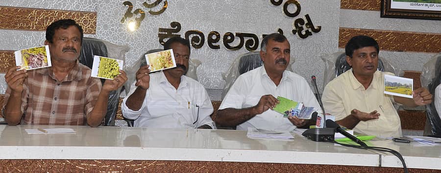 ಕೋಲಾರದಲ್ಲಿ ಪತ್ರಿಕಾಗೋಷ್ಠಿಯಲ್ಲಿ ಮುಖಂಡರು ಅರಣ್ಯ ಇಲಾಖೆ ವಿರುದ್ಧ ಆಕ್ರೋಶ ವ್ಯಕ್ತಪಡಿಸಿ ಫೋಟೊ ಪ್ರದರ್ಶಿಸಿದರು