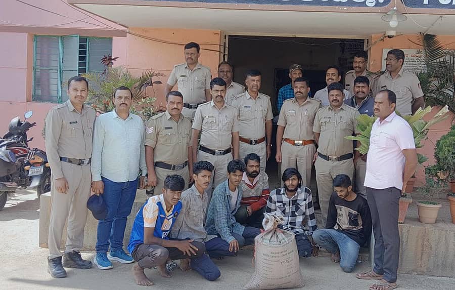 ಬೇಲೂರು ತಾಲ್ಲೂಕಿನ ಅರೇಹಳ್ಳಿ ಪೊಲೀಸರು, ಕಾಫಿ ಬೀಜ ಕಳವು ಮಾಡಿದ್ದ ಆರೋಪಿಗಳನ್ನು ಬಂಧಿಸಿದ್ದಾರೆ