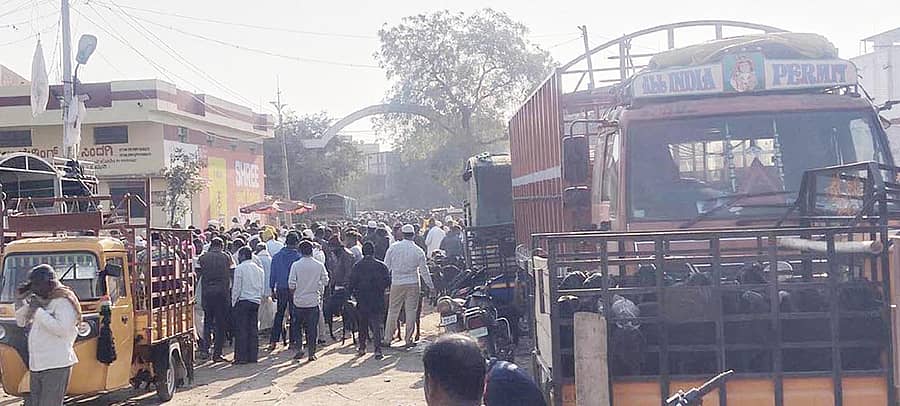 ಸಿಂದಗಿ ಪಟ್ಟಣದ ಕೃಷಿ ಉತ್ಪನ್ ಮಾರುಕಟ್ಟೆ ಆವರಣದ ಮುಖ್ಯಧ್ವಾರದಲ್ಲಿ ರಸ್ತೆಯಲ್ಲಿಯೇ ಕುರಿಗಳ ಸಂತೆ