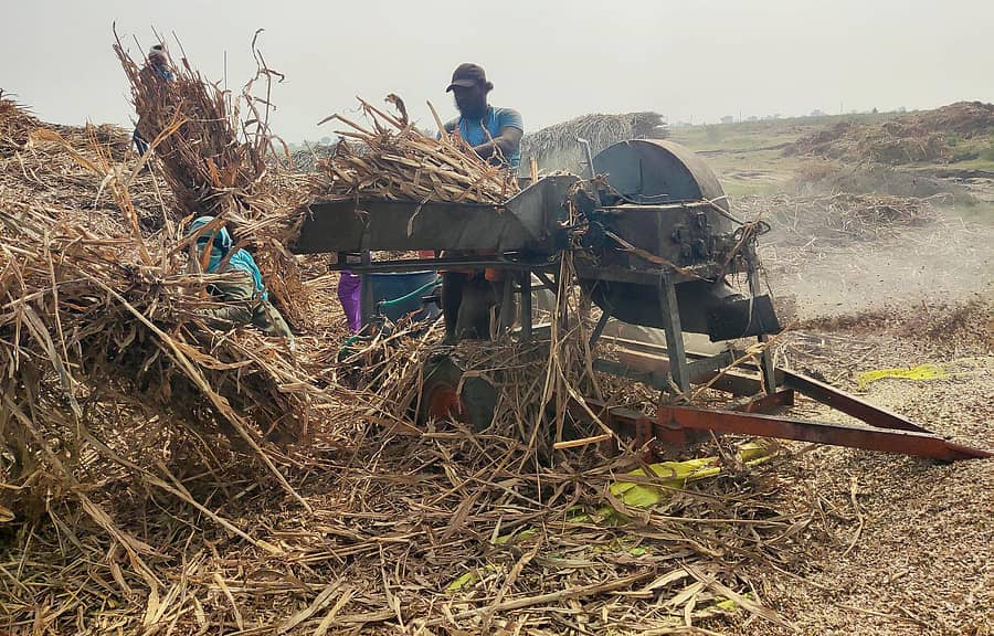 ಕಂಪ್ಲಿ ತಾಲ್ಲೂಕು ಎಮ್ಮಿಗನೂರು ಗ್ರಾಮದ ಹೊರ ವಲಯದಲ್ಲಿ ಜೋಳದ ದಂಟನ್ನು ಯಂತ್ರದ ಮೂಲಕ ಹೊಟ್ಟು ಮಾಡುತ್ತಿರುವ ದೃಶ್ಯ