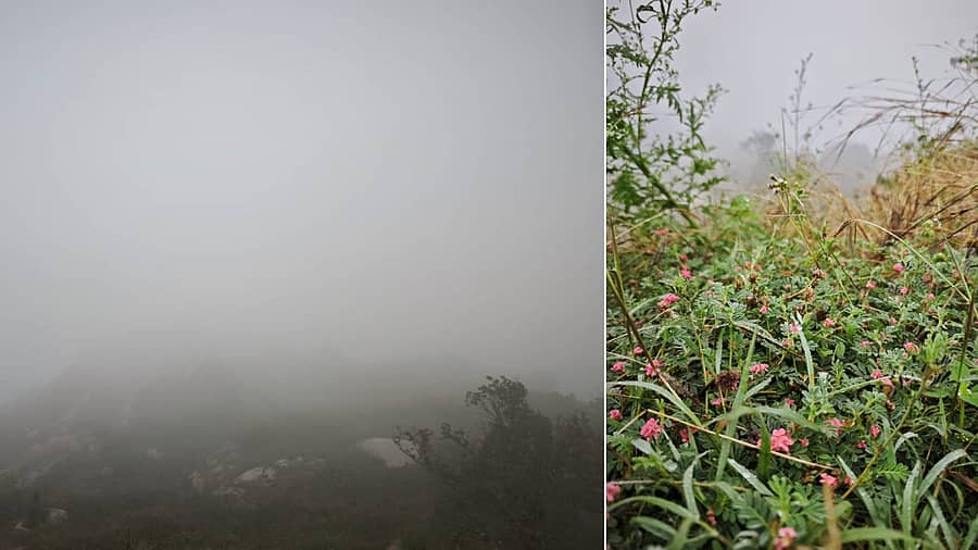 <div class="paragraphs"><p>ಚಾರಣ</p></div>