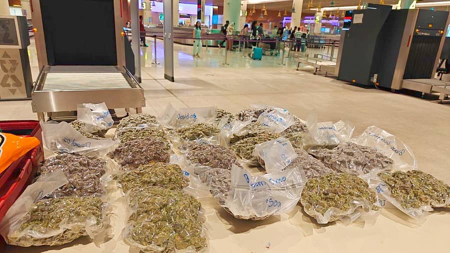 ವಶಕ್ಕೆ ಪಡೆದ ಹೈಡ್ರೋ ಗಾಂಜಾ