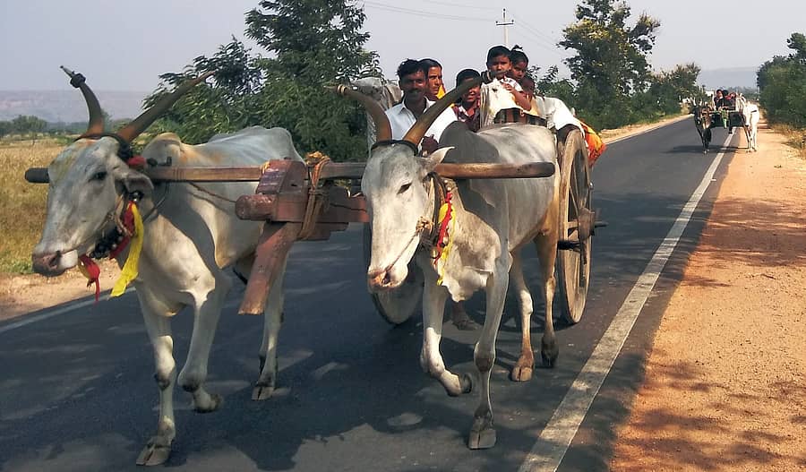 <div class="paragraphs"><p>ಎಳ್ಳು ಅಮವಾಸ್ಯೆಗೆ ಚರಗ ಚೆಲ್ಲಲು ಎತ್ತಿನ ಬಂಡಿಯಲ್ಲಿ ಹೊಲಗಳಿಗೆ ತೆರಳುತ್ತಿರುವ ರೈತರು </p></div>