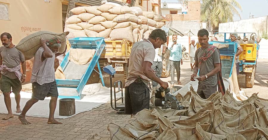 ಉಪ್ಪಿನಬೆಟಗೇರಿಯ ಪಿಕೆಪಿಎಸ್ ಸಂಘದಲ್ಲಿ ಸರ್ಕಾರದ ಬೆಂಬಲ ಬೆಲೆ ಯೋಜನೆಯಡಿ ತೆರೆಯಲಾದ ಖರೀದಿ ಕೇಂದ್ರಕ್ಕೆ ರೈತರು ಟ್ರ್ಯಾಕ್ಟರ್ನಲ್ಲಿ ಉದ್ದಿನ ಕಾಳು ಮಾರಾಟ ಮಾಡಲು ತಂದಿದ್ದರು