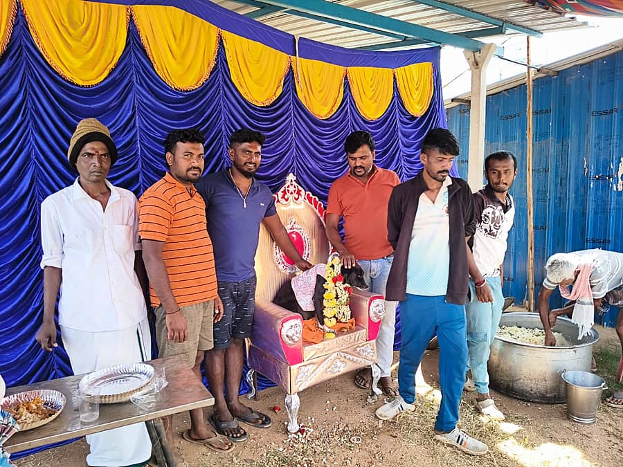 <div class="paragraphs"><p>ನಾಯಿಗೆ ಸೀಮಂತ</p></div>