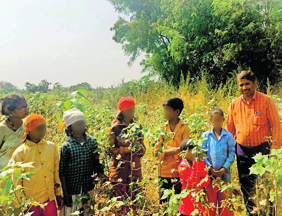 ಕಲಬುರಗಿ ಜಿಲ್ಲೆಯ ಹತ್ತಿ ಹೊಲದಲ್ಲಿ ದುಡಿಯುತ್ತಿದ್ದ ಬಾಲ ಕಾರ್ಮಿಕರನ್ನು ರಕ್ಷಿಸಲಾಯಿತು