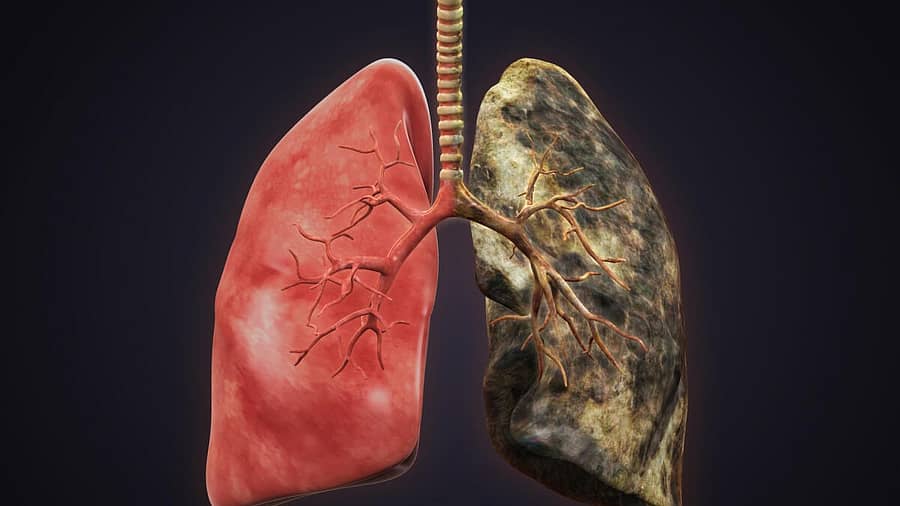 <div class="paragraphs"><p>ಚಿತ್ರ:ಗೆಟ್ಟಿ</p></div>