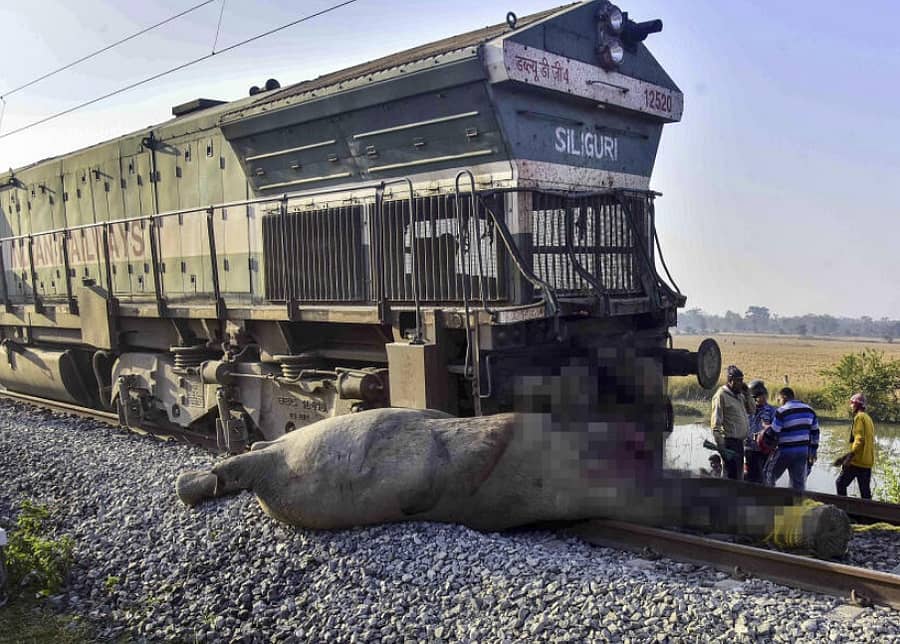 <div class="paragraphs"><p>ರೈಲು ಅಪಘಾತದ ದೃಶ್ಯ</p></div>