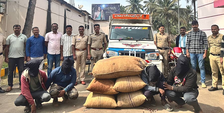 ನರಸಿಂಹರಾಜಪುರ ತಾಲ್ಲೂಕು ಅಳೇಹಳ್ಳಿ ಗ್ರಾಮದ ವ್ಯಾಪ್ತಿಯಲ್ಲಿ ಈಚೆಗೆ ದರೋಡೆ ಮಾಡಿದ್ದ ಅಡಿಕೆ ಸಹಿತ ನಾಲ್ವರು ಆರೋಪಿಗಳನ್ನು ಪೊಲೀಸರು ಬಂಧಿಸಿದರು