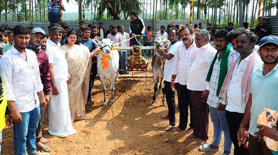 ಹುಲಿ ಗೆಳೆಯರ ಬಳಗದ ವತಿಯಿಂದ ಮಂಡ್ಯ ತಾಲ್ಲೂಕಿನ ಮಂಗಲ ಗ್ರಾಮದಲ್ಲಿ ರಾಜ್ಯ ಮಟ್ಟದ ಪ್ರಥಮ ವರ್ಷದ ಚಕ್ಕಡಿ ಜೋಡಿ ಕರುಗಳ ಓಟದ ಸ್ಪರ್ಧೆಗೆ ಕೃಷಿ ಉತ್ಪನ್ನ ಮಾರುಕಟ್ಟೆ ಸಮಿತಿ ಮಾಜಿ ಅಧ್ಯಕ್ಷೆ ಪಲ್ಲವಿ ಚಾಲನೆ ನೀಡಿದರು. ಗ್ರಾಮದ ಮುಖಂಡರು ಭಾಗವಹಿಸಿದ್ದರು
