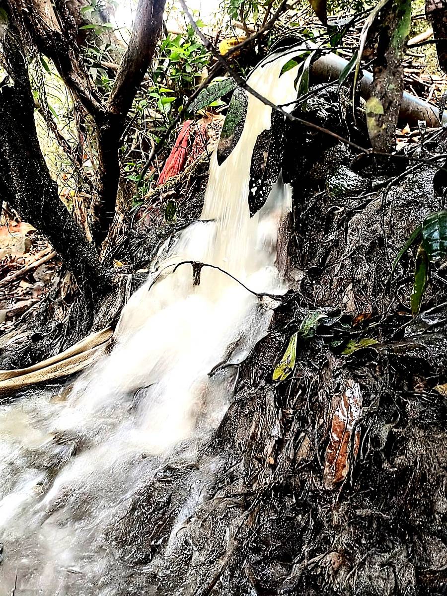 ಕೊಲ್ಲೂರಿನಲ್ಲಿ ಪೈಪ್ ಮೂಲಕ ಸೌಪರ್ಣಿಕೆ ಸೇರುತ್ತಿರುವ ಕಲುಷಿತ ನೀರು