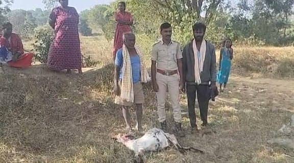 ಅರಣ್ಯ ಸಿಬ್ಬಂದಿ ಹುರಿಯಪ್ಪನಪಾಳ್ಯದಲ್ಲಿ ಪರಿಶೀಲನೆ ನಡೆಸಿದರು