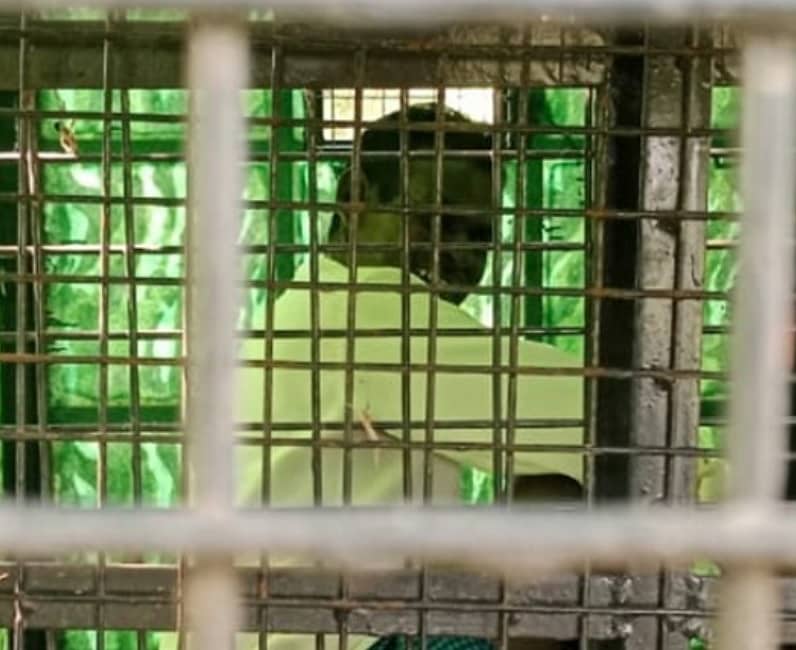 <div class="paragraphs"><p>ಚಿರತೆ ಸೆರೆ ಹಿಡಿಯಲು ಇರಿಸಿದ್ದ ಬೋನಿನೊಳಗೆ ವ್ಯಕ್ತಿಯೊಬ್ಬರು ಸಿಲುಕಿರುವ ದೃಶ್ಯ</p></div>