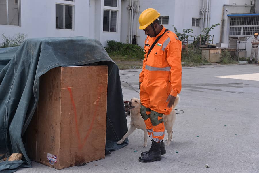 ಕುಸಿದ ಕಟ್ಟಡದಡಿ ವ್ಯಕ್ತಿ ಸಿಲುಕಿರುವುದನ್ನು ಗುರುತಿಸಿದ ಶ್ವಾನ!