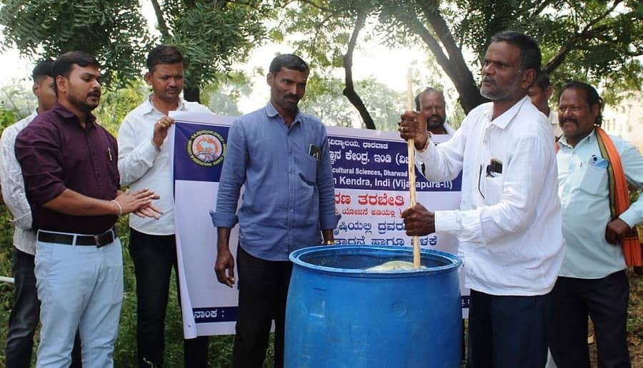 ಇಂಡಿ ತಾಲ್ಲೂಕಿನ ಸಾಲೋಟಗಿ ಗ್ರಾಮದ ಕರೂರ ದಂಪತಿ ತಮ್ಮ ಜಮೀನಿಗೆ ಬಂದ ರೈತರಿಗೆ ಸಾವಯವ ಕೃಷಿ ಪದ್ದತಿ ಬಗ್ಗೆ ತರಬೇತಿ ನೀಡುತ್ತಿದ್ದಾರೆ
