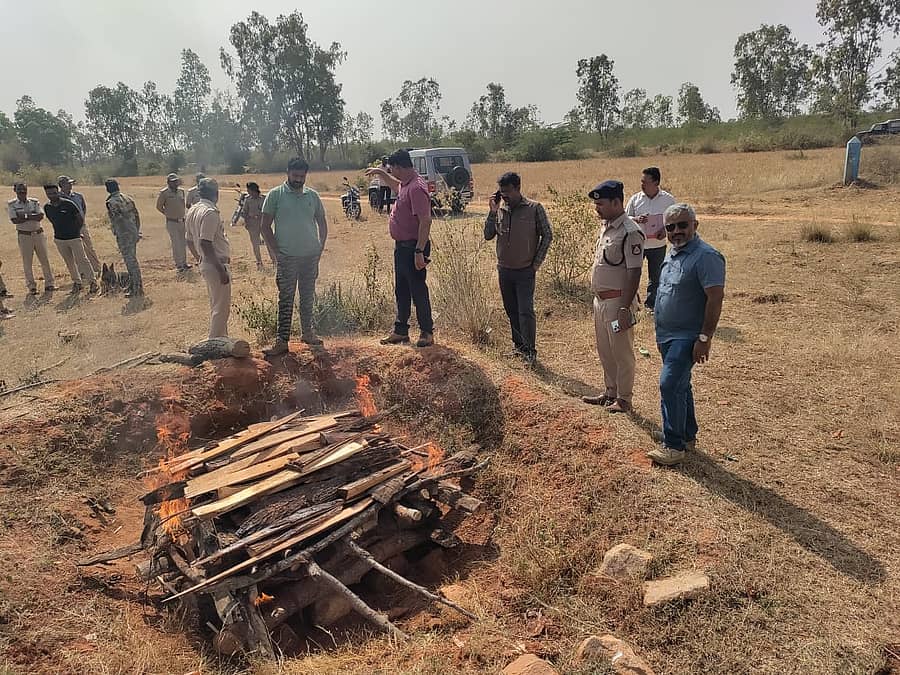 ಕೃಷ್ಣಮೃಗಗಳನ್ನು ಬಾಸೂರು ಬಳಿ ಬುಧವಾರ ಸುಡಲಾಯಿತು