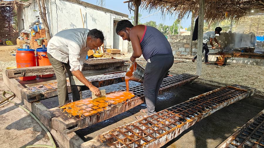ಹಾವೇರಿ ಜಿಲ್ಲೆಯ ಶಿಂಗಾಪುರದ ಆಲೆಮನೆಯಲ್ಲಿ ಬೆಲ್ಲ ತಯಾರಿಯಲ್ಲಿ ರೈತರು ತೊಡಗಿದ್ದರು