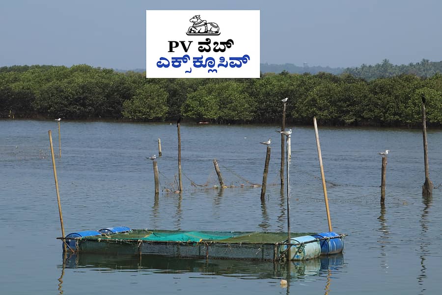 <div class="paragraphs"><p>ಪಂಚಗಂಗಾವಳಿ ನದಿ<br></p></div>