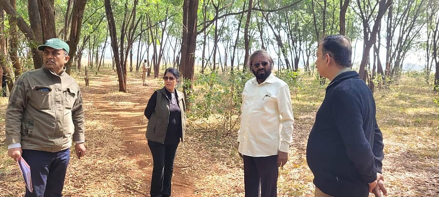 ಹೆಸರಘಟ್ಟ ಸಂರಕ್ಷಿತ ಹುಲ್ಲುಗಾವಲು ಪ್ರದೇಶದಲ್ಲಿ ಇರುವ ಅಕೇಶಿಯಾ ನೆಡುತೋಪನ್ನು ಈಶ್ವರ ಬಿ.ಖಂಡ್ರೆ ಪರಿಶೀಲಿಸಿದರು