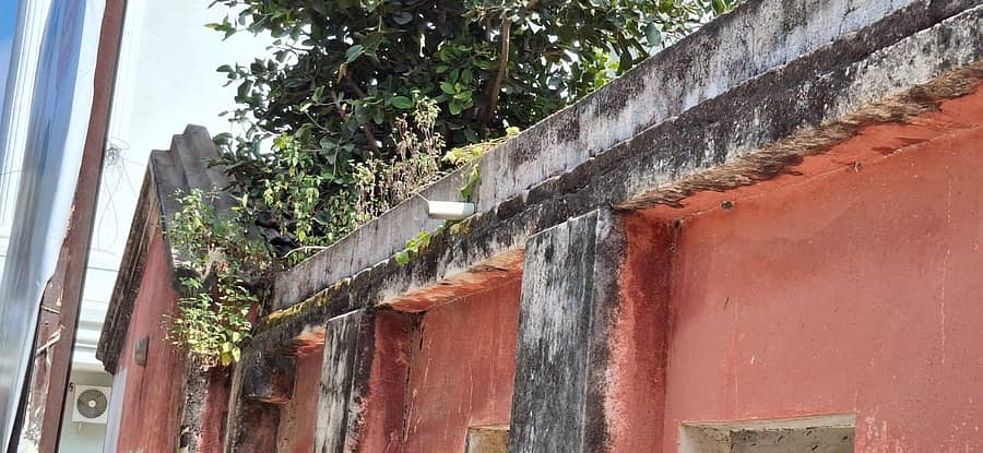 ಮುಳಬಾಗಿಲು ನಗರದ ತಾಲ್ಲೂಕು ಕಚೇರಿ ಬಳಿಯ ನಾಡಕಚೇರಿ ಕಟ್ಟಡದ ಮೇಲೆ ಗಿಡಗಂಟಿಗಳು ಬೆಳೆದಿರುವುದು