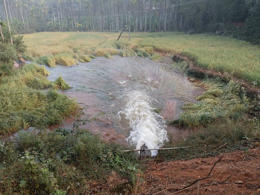 ಶಿರಸಿ ತಾಲ್ಲೂಕಿನ ಮಠದೇವಳ ಗ್ರಾಮದ ಸುಬ್ರಾಯ ಹೆಗಡೆ ಅವರಿಗೆ ಸೇರಿದ ಗದ್ದೆಯಲ್ಲಿ ಕಟಾವಿಗೆ ಬಂದ ಭತ್ತದ ಬೆಳೆ ಕೆರೆಯ ನೀರು ಹರಿದು ಸಂಪೂರ್ಣ ನಾಶವಾಗಿದೆ