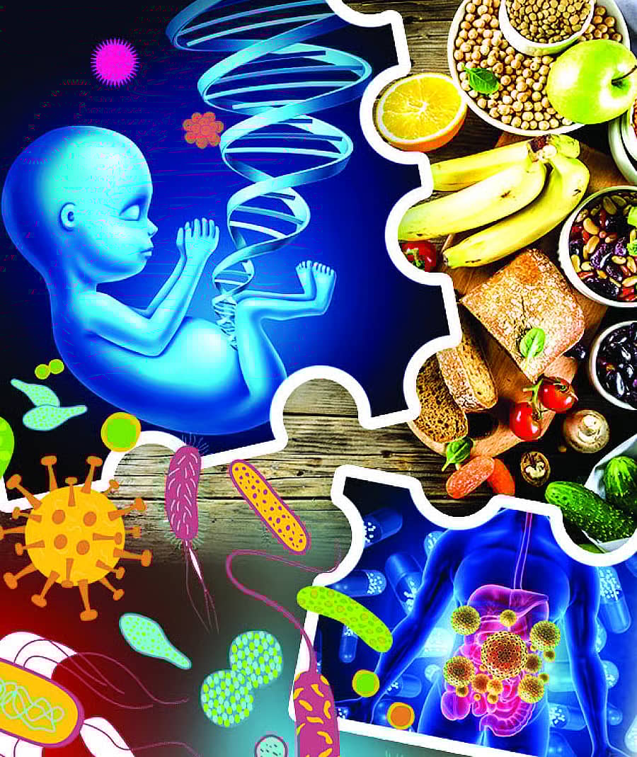 <div class="paragraphs"><p>ಪ್ರಾತಿನಿಧಿಕ ಚಿತ್ರ</p></div>