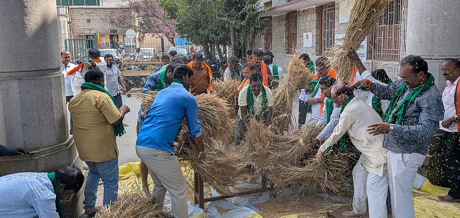 ಜಿಲ್ಲೆಯಾದ್ಯಂತ ಭತ್ತ ಖರೀದಿ ಕೇಂದ್ರ ತೆರೆಯಲು ಆಗ್ರಹಿಸಿ ಬಿಜೆಪಿ ಜಿಲ್ಲಾ ರೈತ ಮೋರ್ಚಾ ಘಟಕದ ಕಾರ್ಯಕರ್ತರು ಮಂಡ್ಯ ಜಿಲ್ಲಾಧಿಕಾರಿ ಕಚೇರಿ ಎದುರು ಸೋಮವಾರ ಭತ್ತ ಬಡಿದು ವಿನೂತನವಾಗಿ ಪ್ರತಿಭಟನೆ ನಡೆಸಿದರು