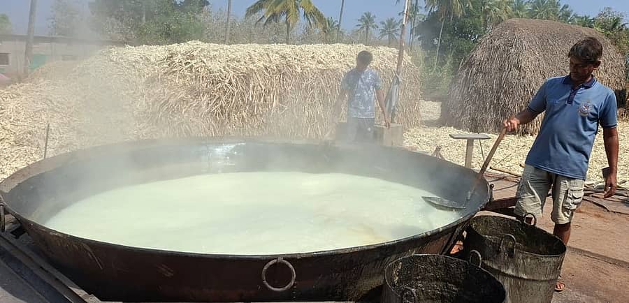 ಬೆಳಗಾವಿ ತಾಲ್ಲೂಕಿನ ಮೋದಗಾದ ಆಲೆಮನೆಯಲ್ಲಿ ಸಾವಯವ ಬೆಲ್ಲ ತಯಾರಿಸುತ್ತಿರುವುದು ಪ್ರಜಾವಾಣಿ ಚಿತ್ರ