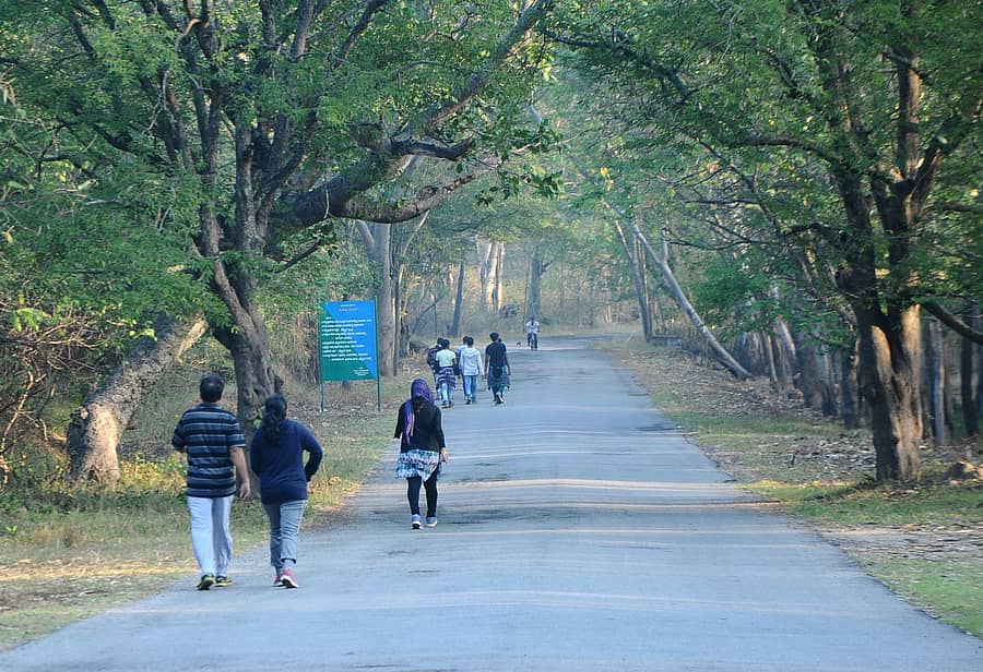 ದೇವರಾಯನದುರ್ಗ 
