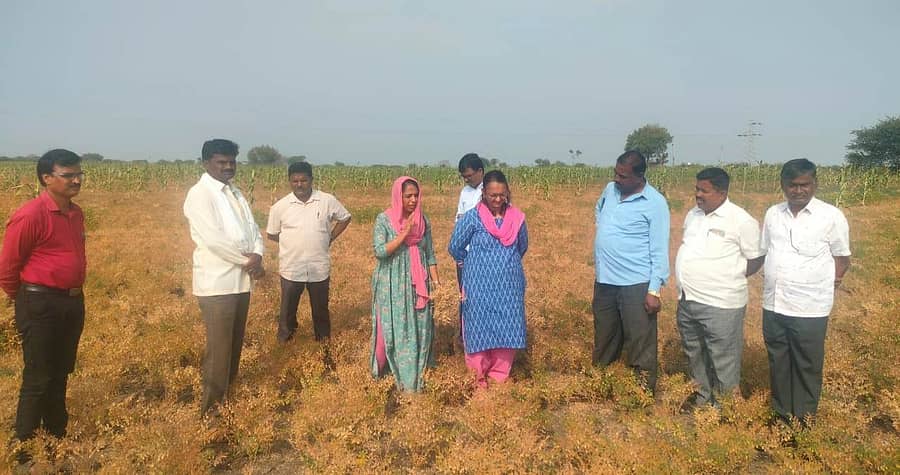 ಲಕ್ಷ್ಮೇಶ್ವರದ ವಿರುಪಾಕ್ಷಪ್ಪ ಆದಿ ಅವರ ರೋಗಪೀಡಿತ ಕಡಲೆ ಬೆಳೆ ಹೊಲಕ್ಕೆ ಬುಧವಾರ ಕೃಷಿ ಇಲಾಖೆಯ ಜಿಲ್ಲಾಮಟ್ಟದ ಅಧಿಕಾರಿಗಳು ಭೇಟಿ ನೀಡಿ ಪರಿಶೀಲನೆ ನಡೆಸಿದರು