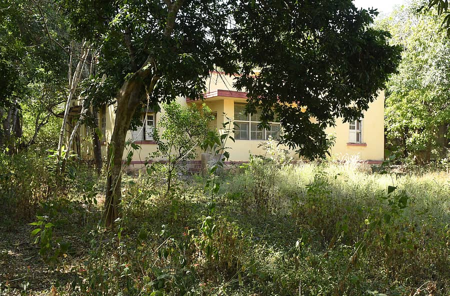 ಧಾರವಾಡದ ಕರ್ನಾಟಕ ವಿಶ್ವವಿದ್ಯಾಲಯ ಆವರಣದಲ್ಲಿನ ಬೋಧಕರ ವಸತಿ ಗೃಹದ ದುಃಸ್ಥಿತಿ
ಬಿ.ಎಂ.ಕೇದಾರನಾಥ ಪ್ರಜಾವಾಣಿ ಚಿತ್ರ
