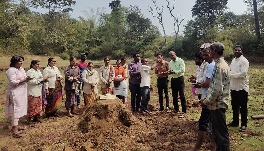 ಶಿರಸಿಯ ಕಲ್ಲಿಯಲ್ಲಿ ನರೇಗಾ ಕೂಲಿಕಾರ್ಮಿಕರ ಜತೆ ತಾಲ್ಲೂಕು ಪಂಚಾಯಿತಿ ಇಒ ಚನ್ನಬಸಪ್ಪ ಹಾವಣಗಿ ಕೇಕ್ ಕತ್ತರಿಸಿ ಹೊಸ ವರ್ಷಾಚರಣೆ ಸಂಭ್ರಮಿಸಿದರು