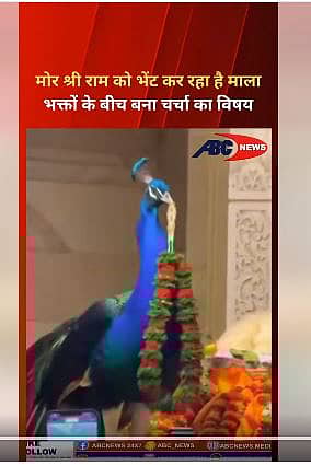 <div class="paragraphs"><p>ನವಿಲು </p></div>