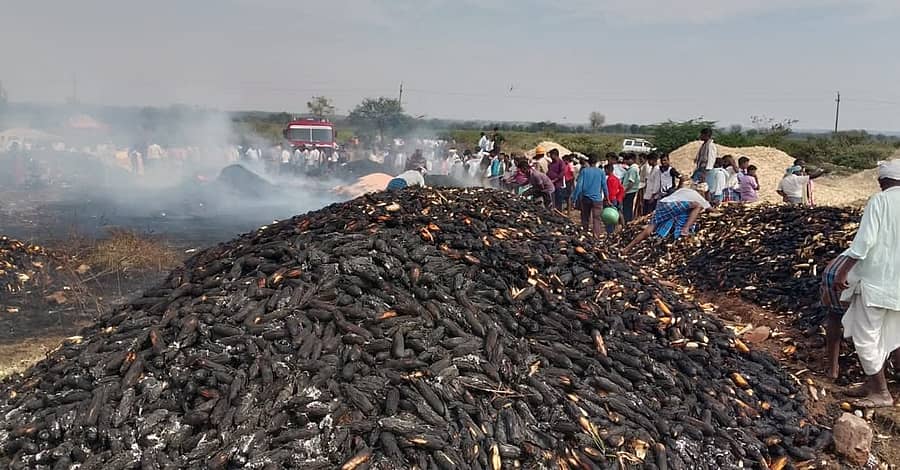 ಸವಣೂರು ತಾಲ್ಲೂಕಿನ ಹುರಳಿಕುಪ್ಪಿ–ಕುರುಬರಮಲ್ಲೂರ ಮಾರ್ಗದಲ್ಲಿರುವ ಜಮೀನಿನಲ್ಲಿ ಬೆಂಕಿ ಅವಘಡ ಸಂಭವಿಸಿ ಸುಟ್ಟಿರುವ ಗೋವಿನ ಜೋಳದ ತೆನೆಗಳು 