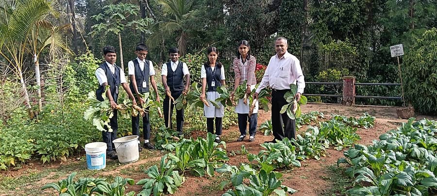 ನಾಪೋಕ್ಲು ಸಮೀಪದ ಪಾರಾಣೆ ಪ್ರೌಢಶಾಲೆಯಲ್ಲಿ ತಾಜಾ ತರಕಾರಿ ಬೆಳೆದ ವೃತ್ತಿ ಶಿಕ್ಷಣ ಶಿಕ್ಷಕ ಎಚ್.ಎಲ್. ಬೈರ ಅವರೊಂದಿಗೆ ವಿದ್ಯಾರ್ಥಿಗಳು
