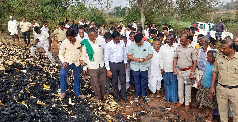 ಮುಂಡರಗಿ ತಾಲ್ಲೂಕಿನ ಅತ್ತಿಕಟ್ಟಿ ಗ್ರಾಮದಲ್ಲಿ ಬೆಂಕಿಗೆ ಆಹುತಿಯಾದ ಮೆಕ್ಕೆಜೋಳ ಫಸಲನ್ನು ಅಧಿಕಾರಿಗಳು ಪರಿಶೀಲಿಸಿದರು