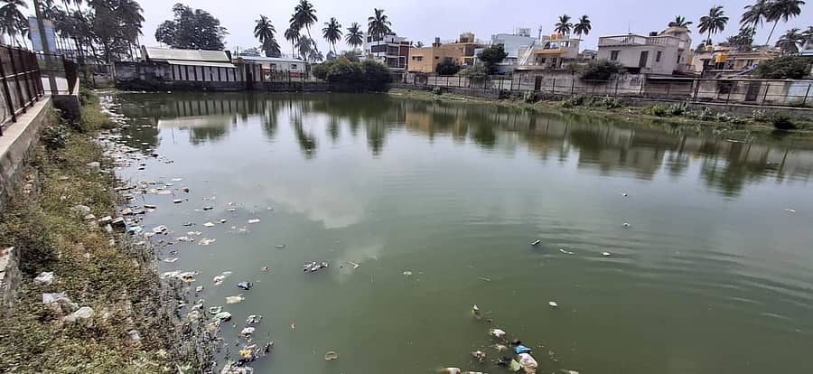 ಮುಳಬಾಗಿಲು ನಗರದ ವಿಠಲೇಶ್ವರ ದೇವಾಲಯದ ರಸ್ತೆಯಲ್ಲಿರುವ ವಿಠಲೇಶ್ವರ ಕಲ್ಯಾಣಿ ತ್ಯಾಜ್ಯದಿಂದ ನೀರು ಹಸಿರಾಗಿರುವುದು