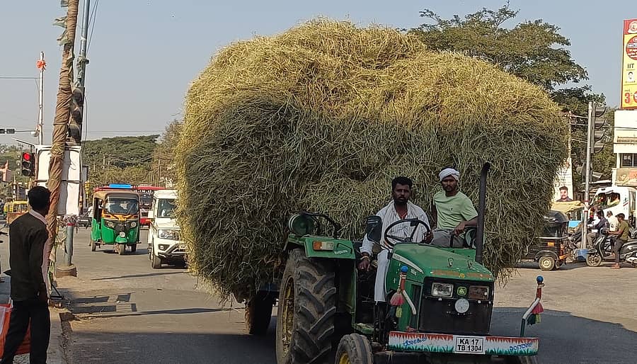 ಹರಿಹರದಲ್ಲಿ ಭತ್ತದ ಹುಲ್ಲಿನ ಪೆಂಡಿಯನ್ನು ಟ್ರ್ಯಾಕ್ಟರ್‌ನಲ್ಲಿ ಸಾಗಿಸುತ್ತಿರುವುದು