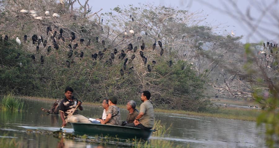 ಹಗರಿಬೊಮ್ಮನಹಳ್ಳಿ ತಾಲ್ಲೂಕಿನ ಅಂಕಸಮುದ್ರ ಪಕ್ಷಿಧಾಮದಲ್ಲಿ ಪಕ್ಷಿ ತಜ್ಞರು ಗಣತಿ ಕಾರ್ಯ ಕೈಗೊಂಡರು