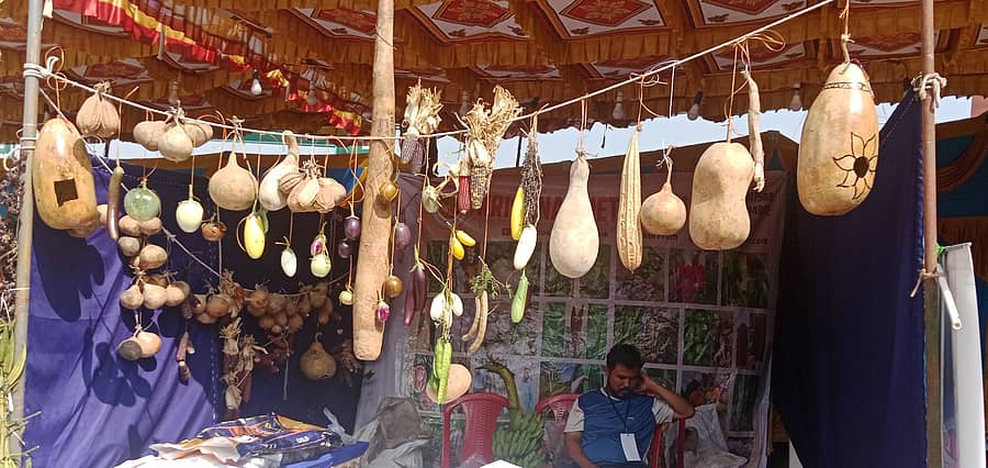 ಹಳೇಬೀಡು ಸಮೀಪದ ಪುಷ್ಪಗಿರಿಯಲ್ಲಿ ನಡೆಯುತ್ತಿರುವ ನೈಸರ್ಗಿಕ ಕೃಷಿ ಕಾರ್ಯಾಗಾರದಲ್ಲಿ ಮಹಾರಾಷ್ಟ್ರದ ಕೃಷ್ಣಶೇತು ತಂಡದವರು ಬಲಿತು ಹಣ್ಣಾದ ತರಕಾರಿಗಳಿಂದ ನಾಟಿ ಬಿತ್ತನೆ ಬೀಜ ಉತ್ಪಾದಿಸುವ ಕ್ರಮವನ್ನು ಪ್ರದರ್ಶಿಸಿದರು 