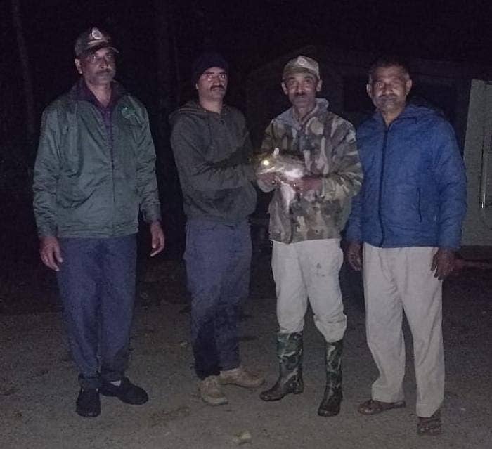 ಸಿದ್ದಾಪುರದಲ್ಲಿ ಗುರುವಾರ ಅರಣ್ಯ ಇಲಾಖೆಯ ಉಪ ವಲಯ ಅರಣ್ಯಾಧಿಕಾರಿ ಸಚಿನ್ ನಿಂಬಾಳ್ಕರ್, ಗಸ್ತು ಅರಣ್ಯ ಪಾಲಕ ನಾಗರಾಜ್ ರಡರಟ್ಟಿ, ಅರಣ್ಯ ವೀಕ್ಷಕರಾದ ಅಪ್ಪಾಸ್ವಾಮಿ, ಜಗದೀಶ್, ಚಾಲಕ ವಾಸುದೇವ ಇವರ ತಂಡ ಇಲಿಜಿಂಕೆಯನ್ನು ಸಂರಕ್ಷಿಸಿರುವುದು