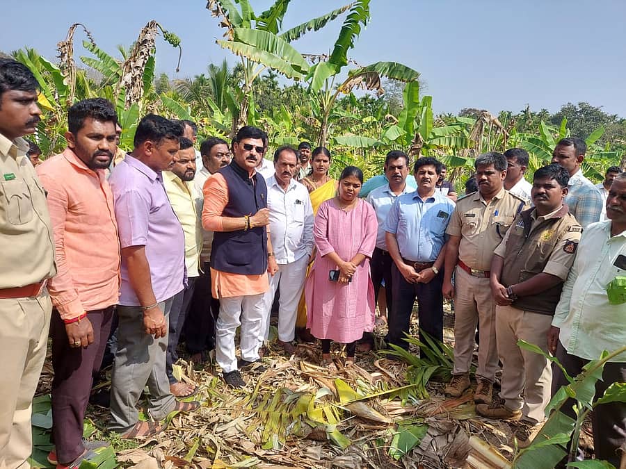 ನಾಡವಳ್ಳಿ ಗ್ರಾಮದಲ್ಲಿ ಆನೆ ಹಾವಳಿಗೆ ತುತ್ತಾದ ತೋಟವನ್ನು ಅಧಿಕಾರಿಗಳೊಂದಿಗೆ ಶಾಸಕರಾದ ಗೋಪಾಲಕೃಷ್ಣ ಬೇಳೂರು ವೀಕ್ಷಿಸುತ್ತಿರುವುದು.