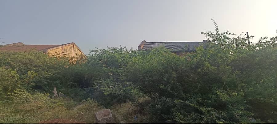 ಮುಳ್ಳಿನ ಗಿಡಗಳಿಂದ ಆವೃತ್ತವಾದ ರೋಣ ಕೈಗಾರಿಕಾ ಪ್ರದೇಶ