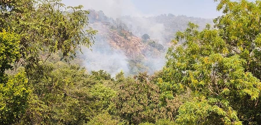 ಯಳಂದೂರು ತಾಲ್ಲೂಕಿನ ಬಿಳಿಗಿರಿ ರಂಗನಾಥ ಬೆಟ್ಟದ ಪುರಾಣಿಪೋಡಿನ ಕಾಡಿನ ನಡುವೆ ಬೆಂಕಿ ರೇಖೆ ರಚಿಸುವ ಪೂರ್ವಭಾವಿ ಕೆಲಸಗಳು ನಡೆದವು