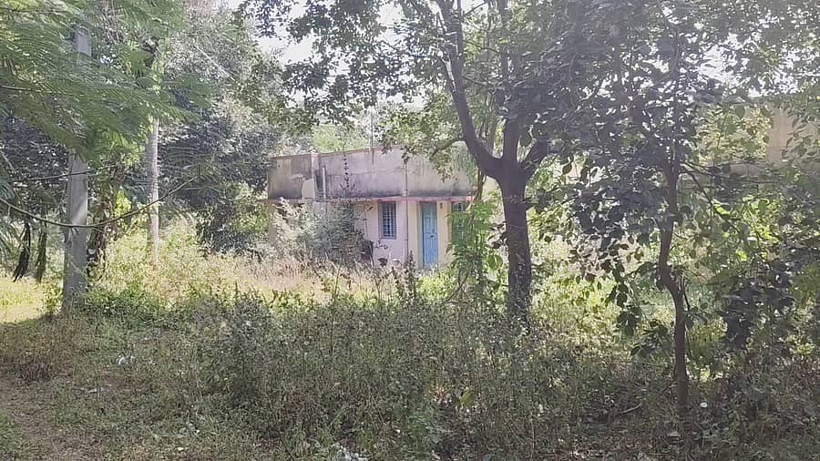 ಪಟ್ಟಣದ ಪೊಲೀಸ್ ಠಾಣೆ ಪಕ್ಕ ನಿರ್ಮಾಣ ಮಾಡಿರುವ ವಸತಿ ಗೃಹಗಳು ಪಾಳು ಬಿದ್ದಿರುವುದು 