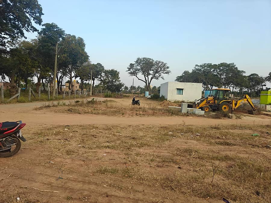 ಜಾನುವಾರುಗಳು ಸೇರುತ್ತಿದ್ದ ಹಿಪ್ಪೆ ತೋಪು