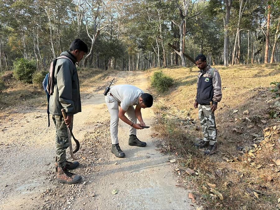 ನಾಗರಹೊಳೆ ರಾಷ್ಟ್ರೀಯ ಉದ್ಯಾನದಲ್ಲಿ ಹುಲಿ ಗಣತಿ ಕಾರ್ಯ ಆರಂಭಿಸಿದ ಸಿಬ್ಬಂದಿ ವಿವಿಧ ಪ್ರಾಣಿಗಳ ಮಲ ಸಂಗ್ರಹಿಸಿದರು
