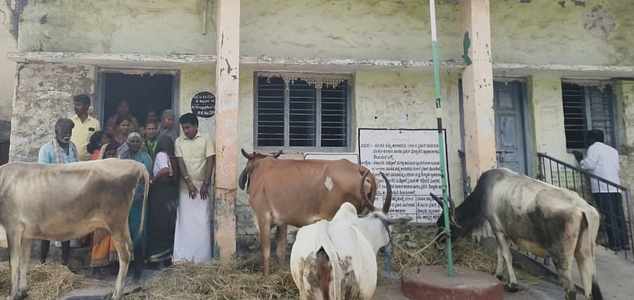 ತೆಕ್ಕಲಕೋಟೆ ಸಮೀಪದ ಕರೂರು ಗ್ರಾಮದಲ್ಲಿ ಸಾರ್ವಜನಿಕ ಶೌಚಾಲಯ ಹಾಗೂ ದನದ ದೊಡ್ಡಿ ನೆಲಸಮ ಮಾಡಿದ್ದನ್ನು ವಿರೋಧಿಸಿ ಗ್ರಾಮಸ್ಥರು ಪಂಚಾಯಿತಿ ಕಚೇರಿ ಮುಂದೆ ದನಗಳನ್ನು ಕಟ್ಟಿ, ಮುತ್ತಿಗೆ ಹಾಕಿ ಪ್ರತಿಭಟಿಸಿದರು