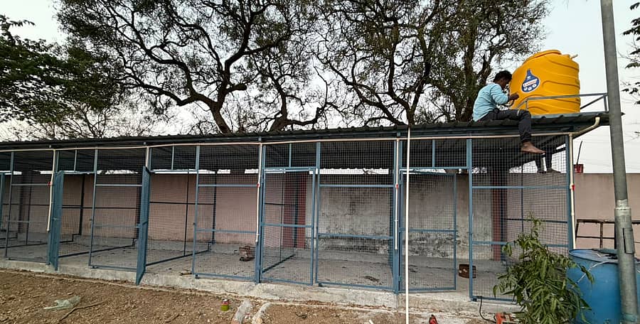 ಅಪಾಯಕಾರಿ ಬೀದಿನಾಯಿಗಳನ್ನು ಇಡುವ ಸಲುವಾಗಿ ಹೊನ್ನಾವರದ ತ್ಯಾಜ್ಯ ವಿಲೇವಾರಿ ಘಟಕದ ಆವರಣದಲ್ಲಿ ಪಂಜರಗಳನ್ನು ಅಳವಡಿಸಲಾಯಿತು